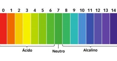 O que é PH e como ele afeta a Saúde dos Peixes