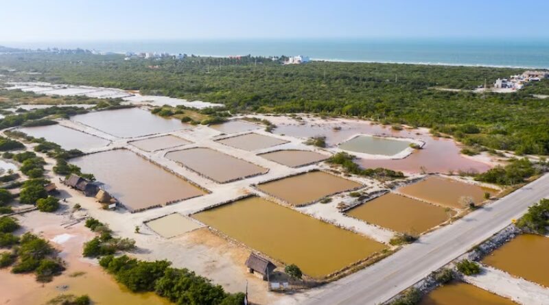 Aquicultura em Ação: Dicas para Iniciar sua Piscicultura