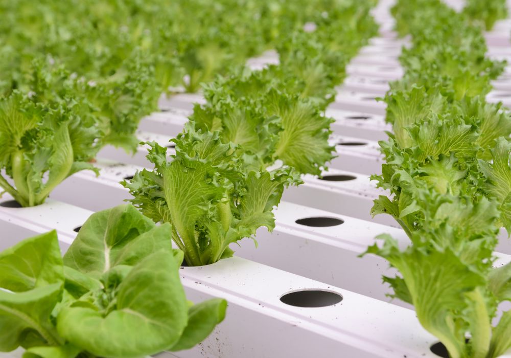 Como saber que a ciclagem terminou