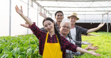 Diferença entre Aquaponia, Hidroponia e Aquicultura Entenda de uma Vez por Todas