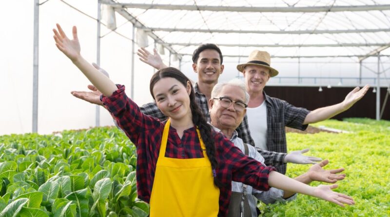 Diferença entre Aquaponia, Hidroponia e Aquicultura Entenda de uma Vez por Todas
